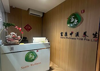 Hougang Massage Therapists Sante Wellness TCM Pte Ltd image 2 Hougang Massage Therapists Sante Wellness TCM Pte Ltd image 2