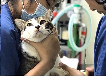 Woodlands Veterinary Clinics SingVet Animal Clinic image 2 Woodlands Veterinary Clinics SingVet Animal Clinic image 2