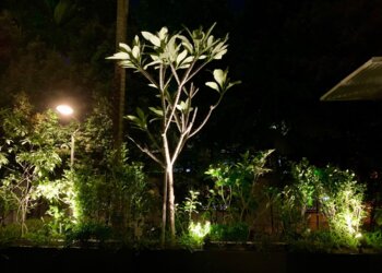 Outram Landscaping Companies Singapore Landscape Design image 2 Outram Landscaping Companies Singapore Landscape Design image 2