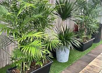 Marine Parade Landscaping Companies Song Lang Garden image 2 Marine Parade Landscaping Companies Song Lang Garden image 2