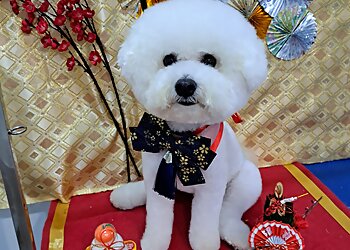 Orchard Road Pet Services Sopra Ginza image 2 Orchard Road Pet Services Sopra Ginza image 2