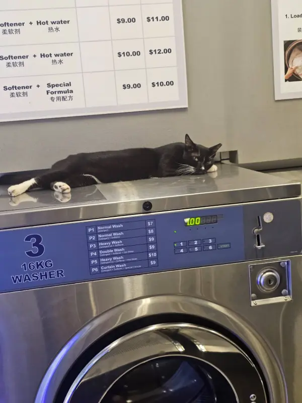 SpincityLaundromat-TelokBlangah-Central-review-1