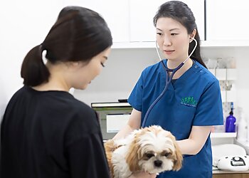 Hougang Veterinary Clinics Spring Veterinary Care image 3 Hougang Veterinary Clinics Spring Veterinary Care image 3