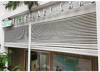 Punggol Veterinary Clinics Spring Veterinary Care image 3 Punggol Veterinary Clinics Spring Veterinary Care image 3
