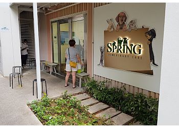 Spring Veterinary Private Limited