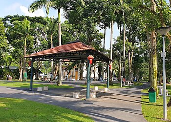 Springleaf Nature Park in Yishun - ThreeBestRated.sg