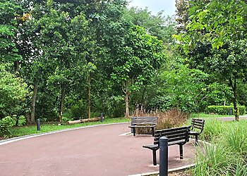 Springleaf Nature Park in Yishun - ThreeBestRated.sg