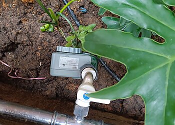 Bukit Panjang Landscaping Companies Sri Gardening Service image 2 Bukit Panjang Landscaping Companies Sri Gardening Service image 2