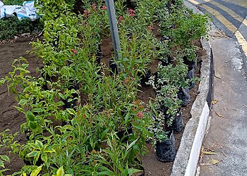 Bukit Panjang Landscaping Companies Sri Gardening Service image 3 Bukit Panjang Landscaping Companies Sri Gardening Service image 3