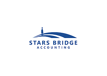 Tanjong Pagar Chartered Accountants Stars Bridge image 1