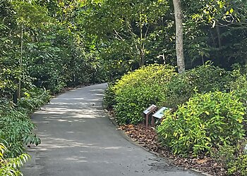 Bukit Merah Landscaping Companies Stephen Caffyn Landscape Design Pte Ltd. image 3 Bukit Merah Landscaping Companies Stephen Caffyn Landscape Design Pte Ltd. image 3