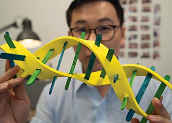 Marina Bay Counselling Services Stress.SG image 3 Marina Bay Counselling Services Stress.SG image 3