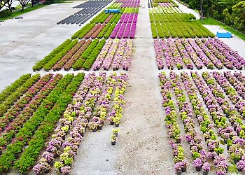 Serangoon Landscaping Companies Summer Pond & Landscaping Pte Ltd. image 3 Serangoon Landscaping Companies Summer Pond & Landscaping Pte Ltd. image 3