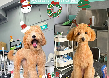 Surrpaws Pet Grooming Salon photo Surrpaws Pet Grooming Salon