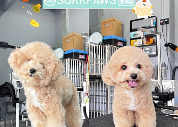 Surrpaws Pet Grooming Salon image Surrpaws Pet Grooming Salon