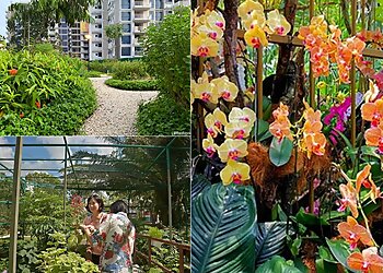 Tampines Tourist Attractions Tampines Changkat Butterfly Garden image 3 Tampines Tourist Attractions Tampines Changkat Butterfly Garden image 3