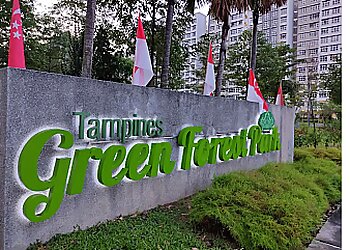 Tampines Tourist Attractions Tampines Green Forest Park & Playground image 2 Tampines Tourist Attractions Tampines Green Forest Park & Playground image 2