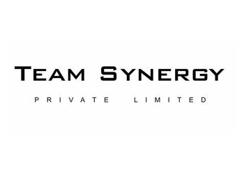 Team Synergy Pte Ltd.