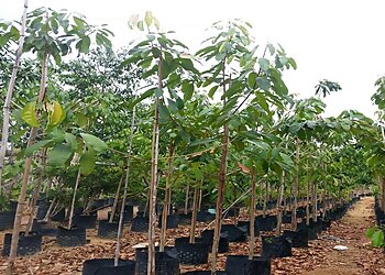 Ang Mo Kio Landscaping Companies Teck Heng Landscape and Construction Pte Ltd. image 2 Ang Mo Kio Landscaping Companies Teck Heng Landscape and Construction Pte Ltd. image 2