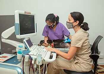 The Animal Clinic photo The Animal Clinic