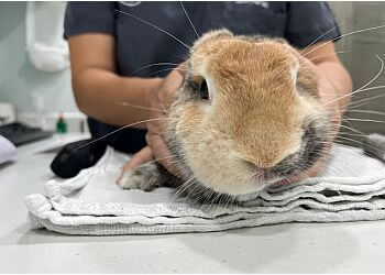 Ang Mo Kio Veterinary Clinics The Animal Doctors image 2 Ang Mo Kio Veterinary Clinics The Animal Doctors image 2