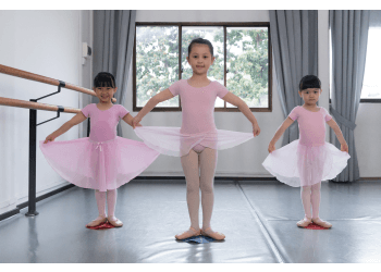 The Ballet Academy