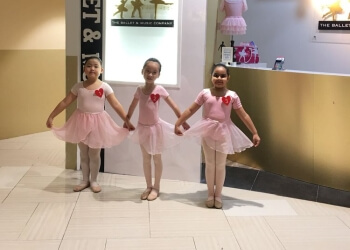 The Ballet & Music Company photo The Ballet & Music Company