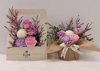 The Bloom Box Pte Ltd photo The Bloom Box Pte Ltd