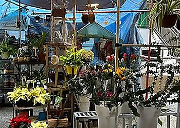 Ayer Rajah Flowers And Gifts Shops The Flowerpups image 3 Ayer Rajah Flowers And Gifts Shops The Flowerpups image 3