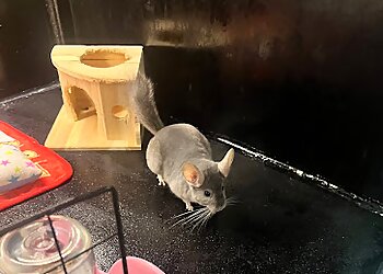 The Fluffy Hut image The Fluffy Hut