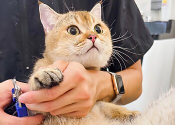 Orchard Road Pet Services The Furrville Salon image 2 Orchard Road Pet Services The Furrville Salon image 2