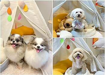 Orchard Road Pet Services The Furrville Salon image 3 Orchard Road Pet Services The Furrville Salon image 3