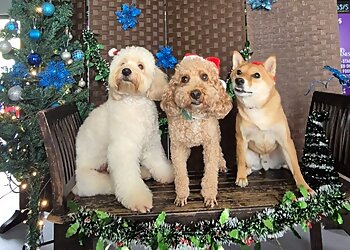 The Oasis photo The Oasis