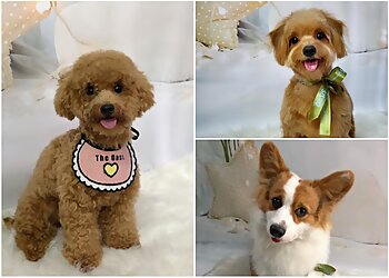 The Oasis image The Oasis