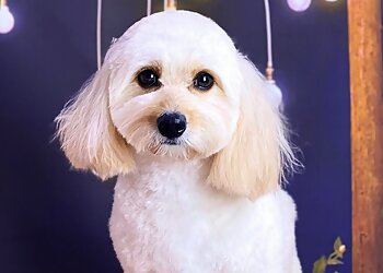 The Pawlour photo The Pawlour