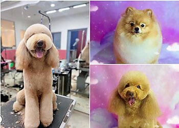 The Pawlour image The Pawlour