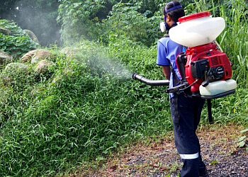 Hougang Pest Control Companies The Pestman Pte. Ltd. image 2