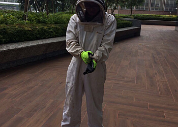 Hougang Pest Control Companies The Pestman Pte. Ltd. image 3