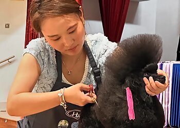 Tampines Pet Services The Pets Workshop image 2 Tampines Pet Services The Pets Workshop image 2