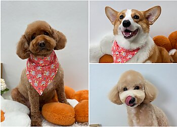 Tampines Pet Services The Pets Workshop image 3 Tampines Pet Services The Pets Workshop image 3