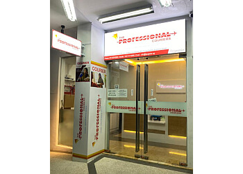 The Professional Couriers photo The Professional Couriers