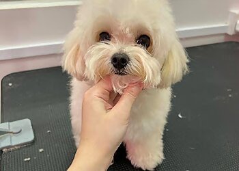 Macpherson Pet Services The Pup Life image 3 Macpherson Pet Services The Pup Life image 3