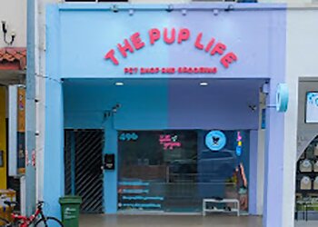 Macpherson Pet Services The Pup Life image 1