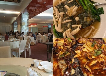 Buona Vista Chinese Restaurants The Scholar Chinese Restaurant image 3 Buona Vista Chinese Restaurants The Scholar Chinese Restaurant image 3