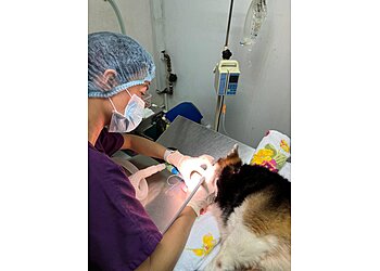 Queenstown Veterinary Clinics The Veterinary Clinic image 2 Queenstown Veterinary Clinics The Veterinary Clinic image 2