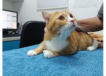 Tampines Veterinary Clinics The Veterinary Clinic image 3 Tampines Veterinary Clinics The Veterinary Clinic image 3