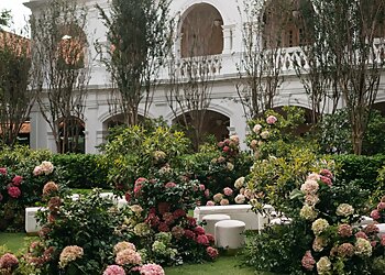 The Wedding Stylist image The Wedding Stylist