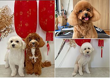 Pasir Ris Pet Services The Weekend Groomers Pte Ltd image 3 Pasir Ris Pet Services The Weekend Groomers Pte Ltd image 3