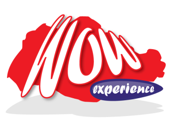 The Wow Experience Pte Ltd.