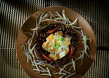 Woodlands Video Production Theme Visuals image 2 Woodlands Video Production Theme Visuals image 2